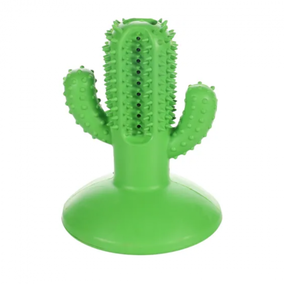 Marcus le Méga cactus de réflexion à ventouse