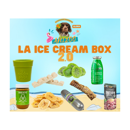 La Ice-Cream Box 2.0 - Aout 2023