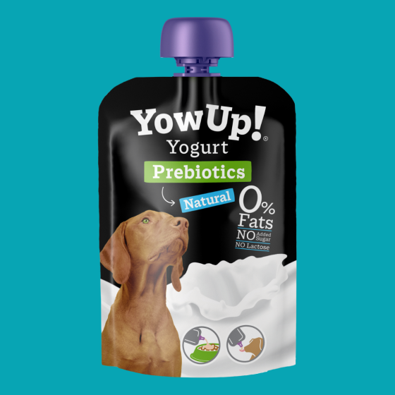 YowUp - Yaourt Nature - Confort digestif 115G