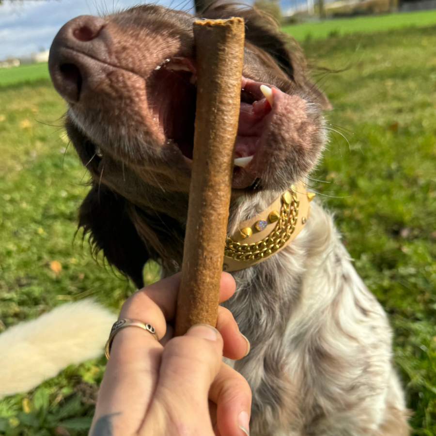 Cigare de poulet