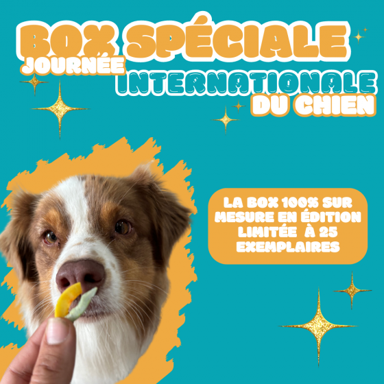 La box sur mesure - Journée internationale du chien