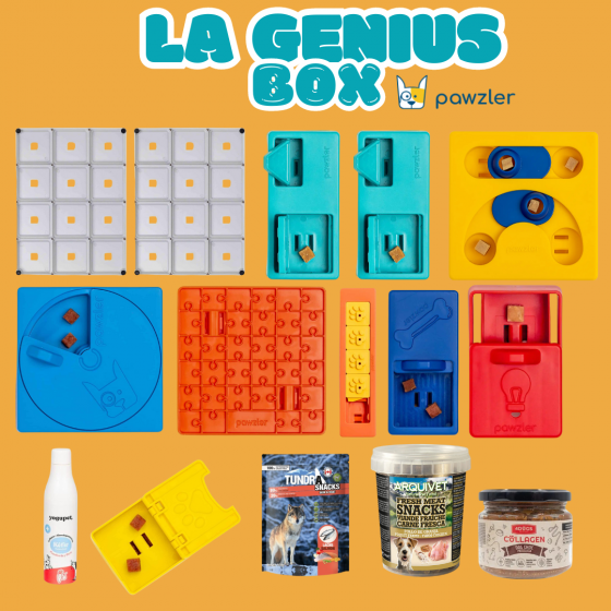 Pawzler Genius Box - Le Bundle des génies