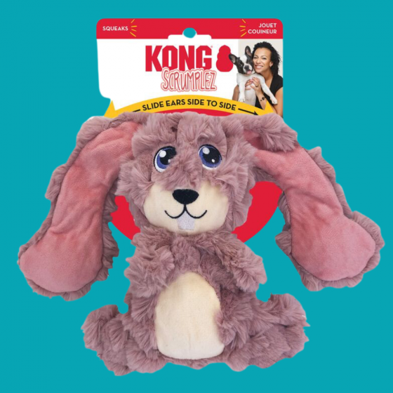 KONG Martin le lapin aux grandes oreilles