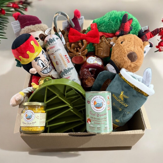 🎅Précommande - La Box de Noël indécente 🎅