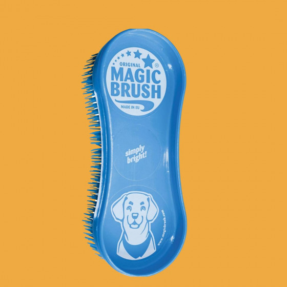 Magic Brush Chien