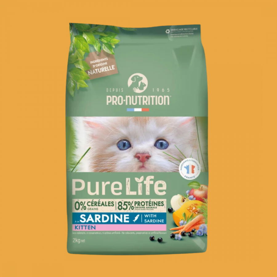 Pure Life Sardine chaton